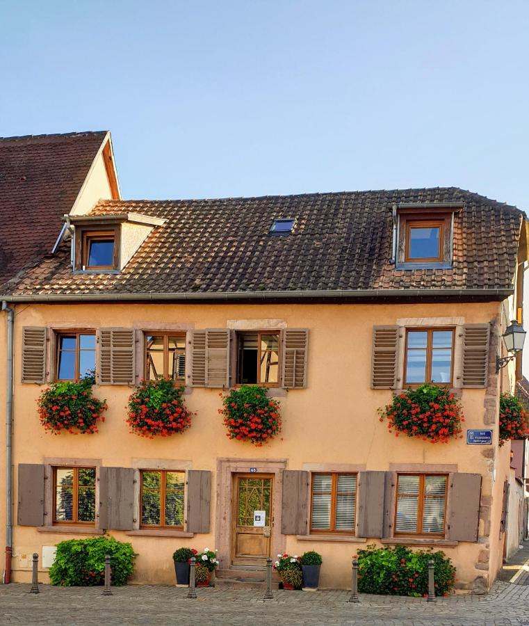 Chez Laurette A Bergheim Apartment Bagian luar foto